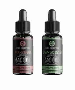 Beginner Stack – Fat Burner